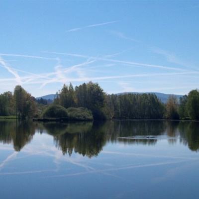 米乐下载地址app下载